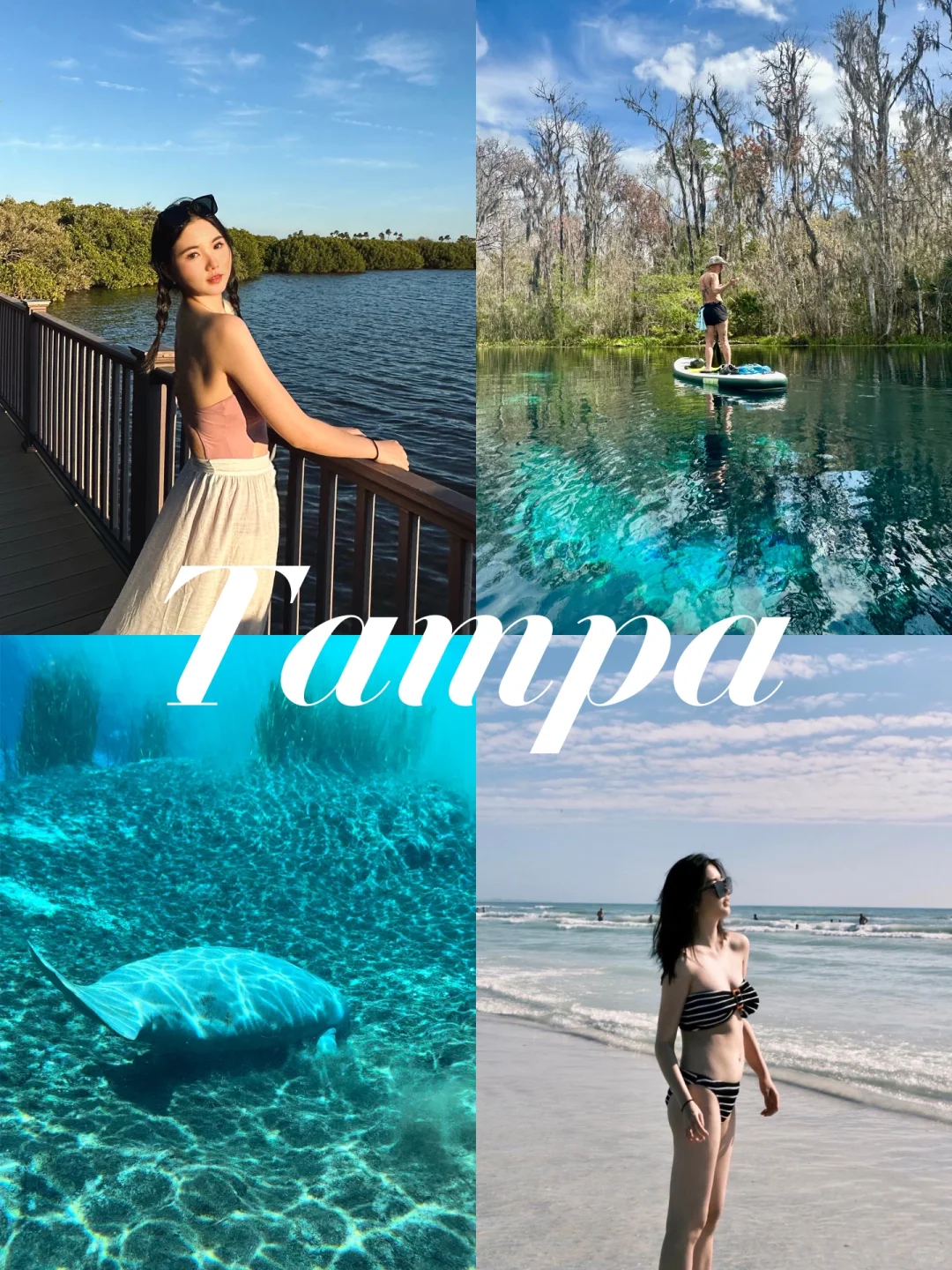 Tampa Travel Guide 🌊｜Spent a Perfect Weekend in Tampa 🫧
