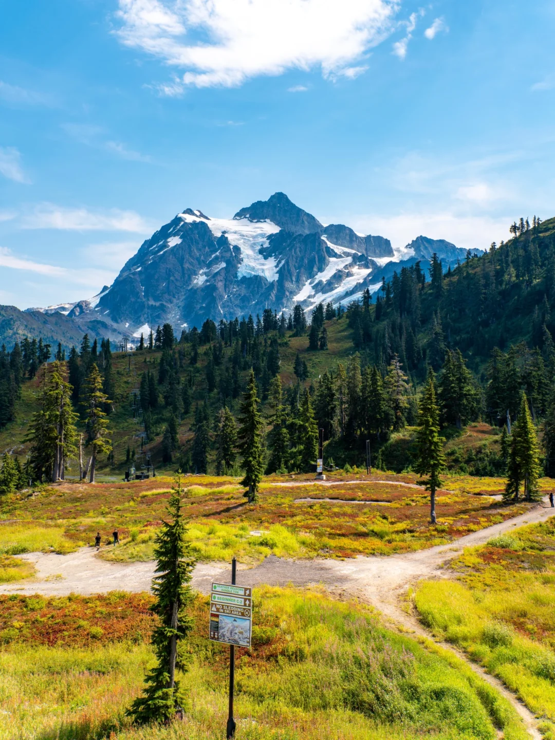 Mt Baker Hiking Guide | Soak in Baker's Beauty in a Day