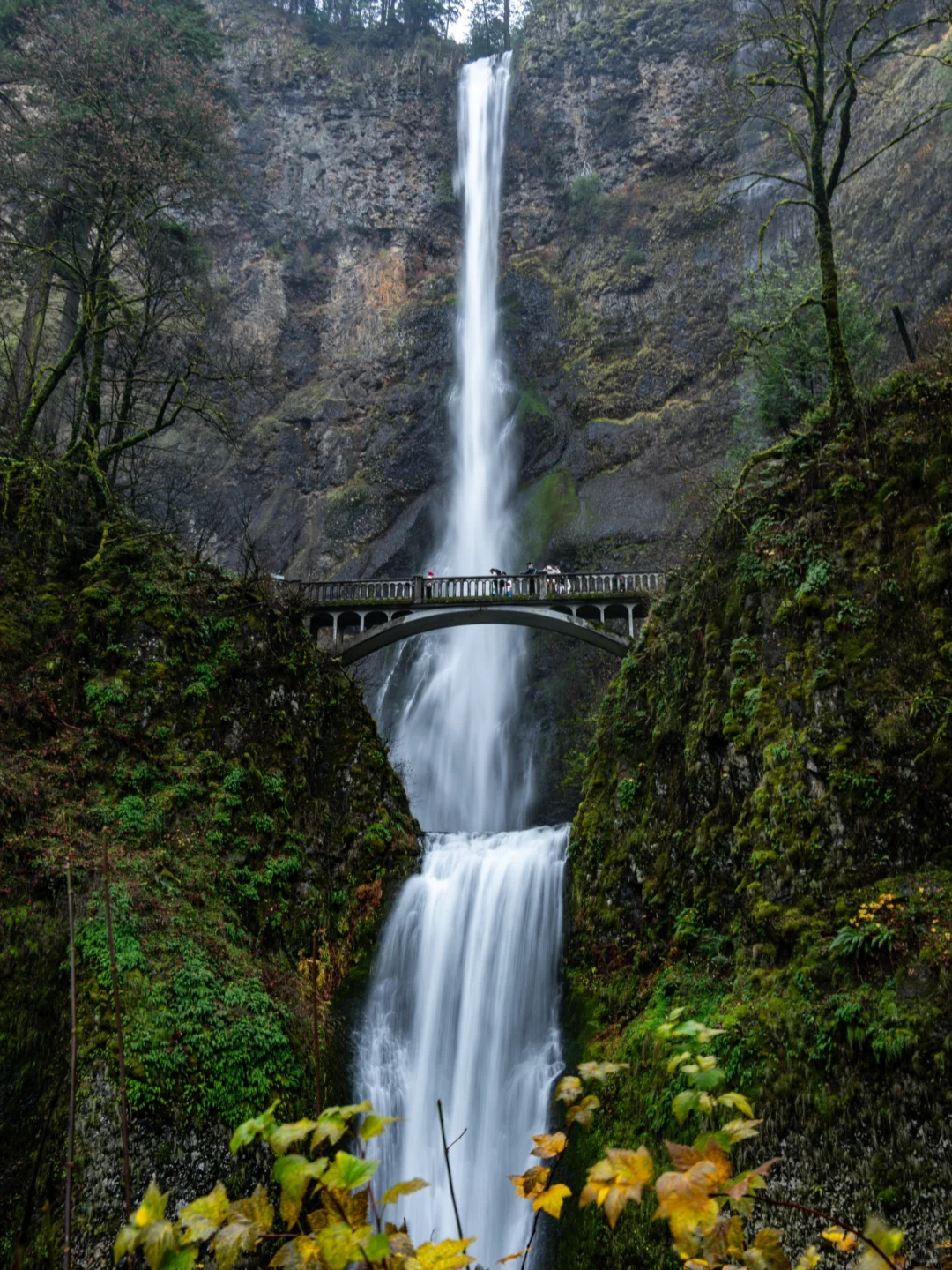 Short Trip Itinerary from Seattle to Oregon