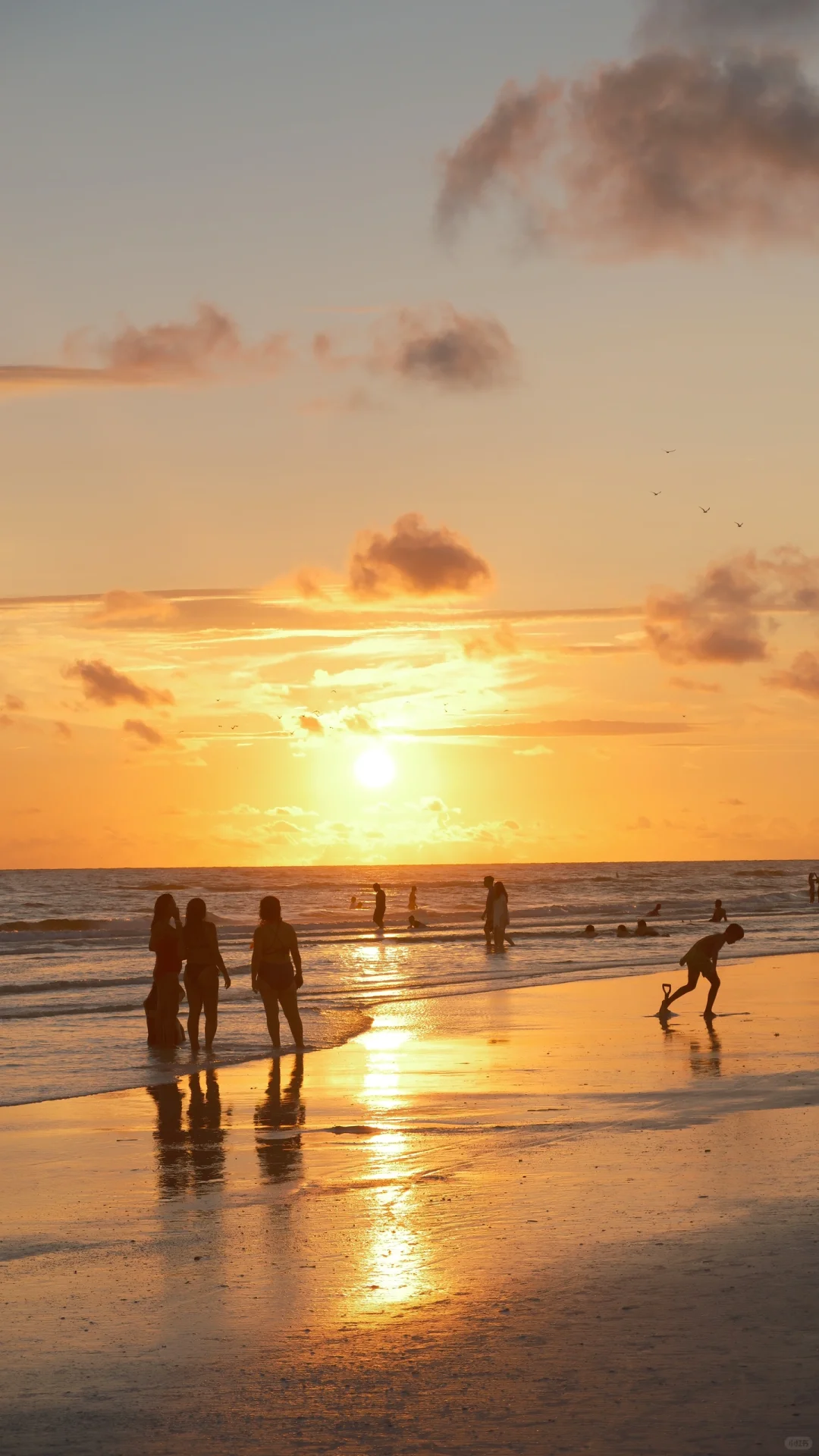 Tampa, Florida | How to Make the Most of a Road Trip Along the West Coast