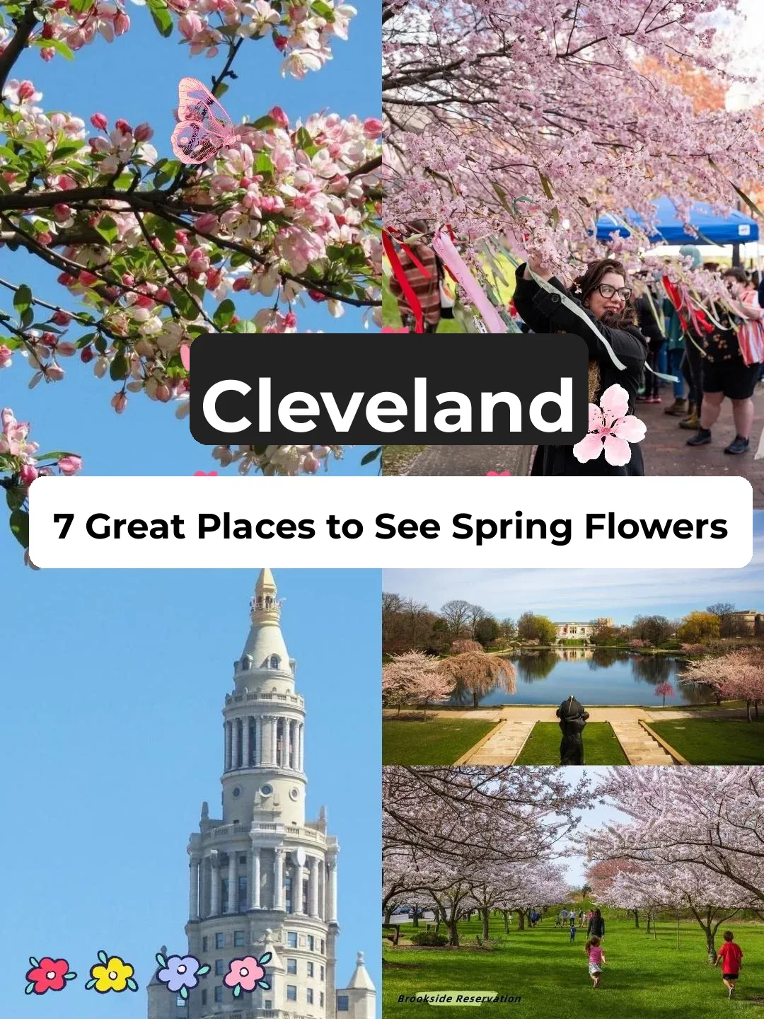 7 Best Spots to See Cherry Blossoms & Spring Flowers in Cleveland 🥰