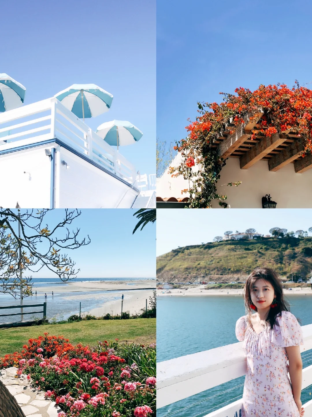 Hidden Gems in LA: Free Tour of Malibu's Stunning Beachfront Mansions