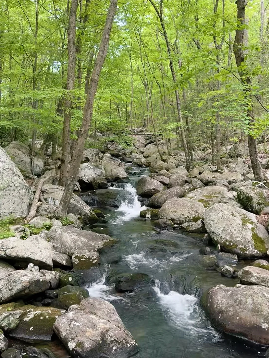 Top Hiking Spots Near NYC