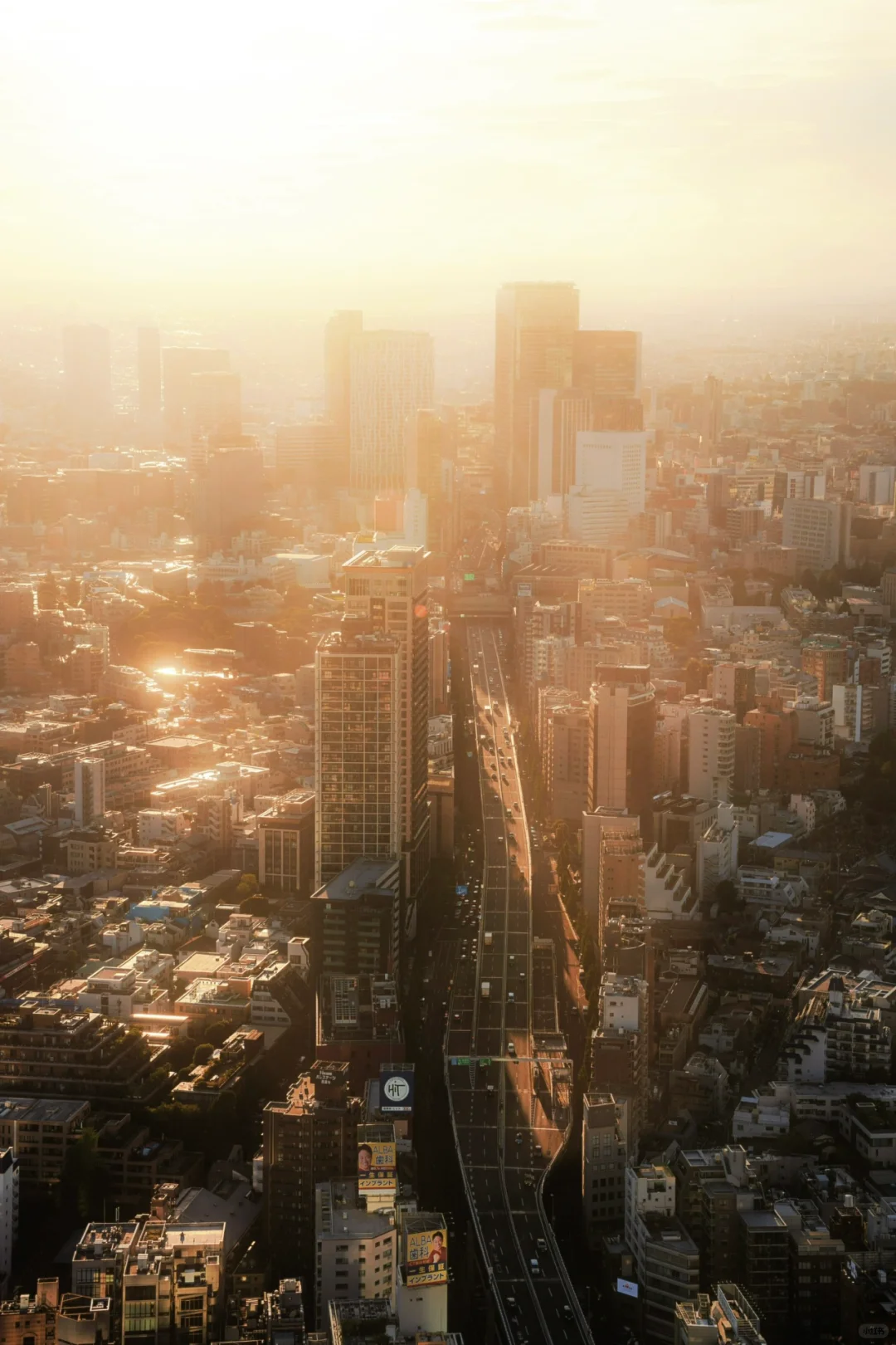 Skip Shibuya Sky, This is the Best Viewing Spot for Tokyo Tower!