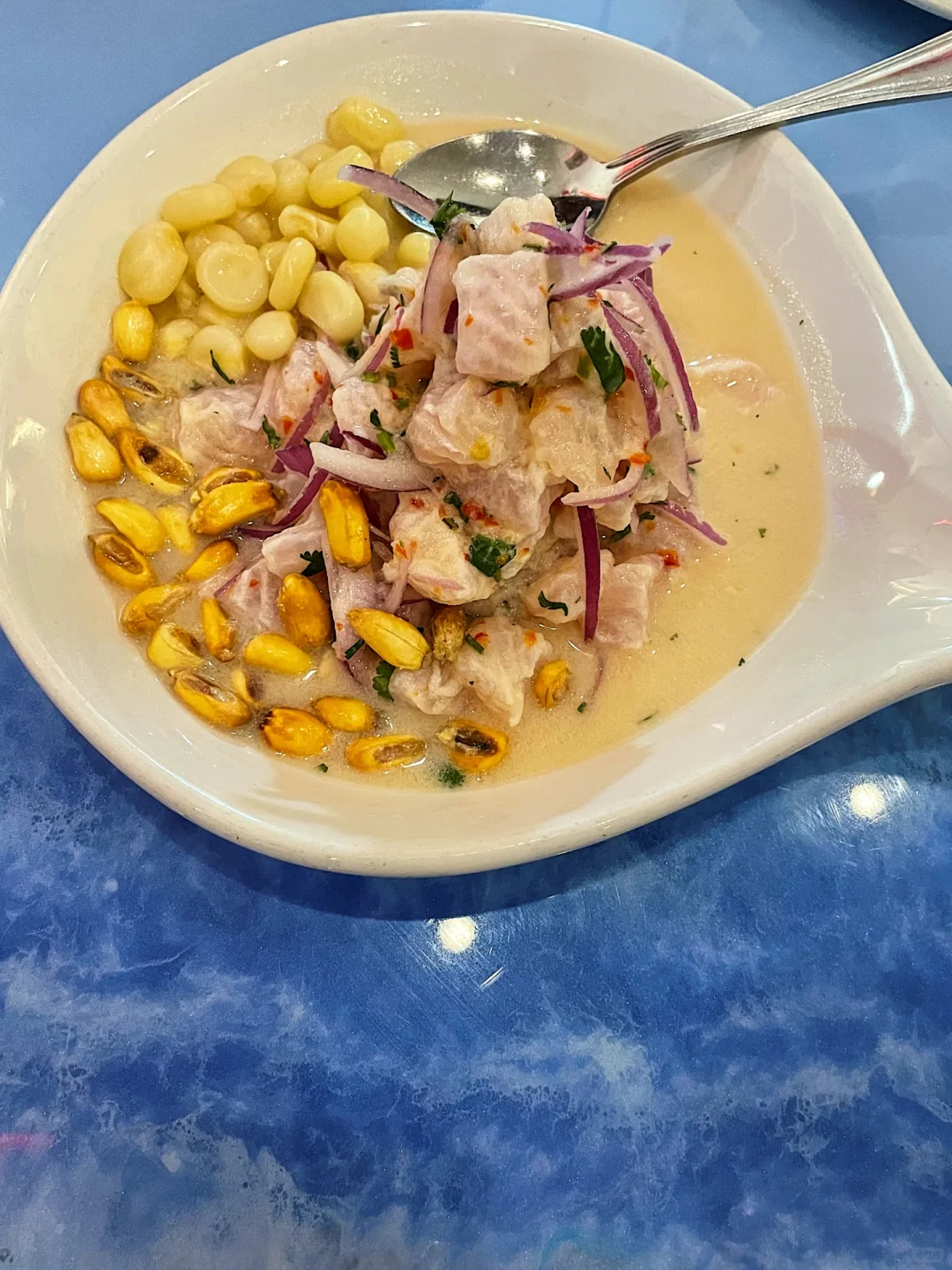 Miami | More Authentic Peruvian Cuisine Than Ceviche 105