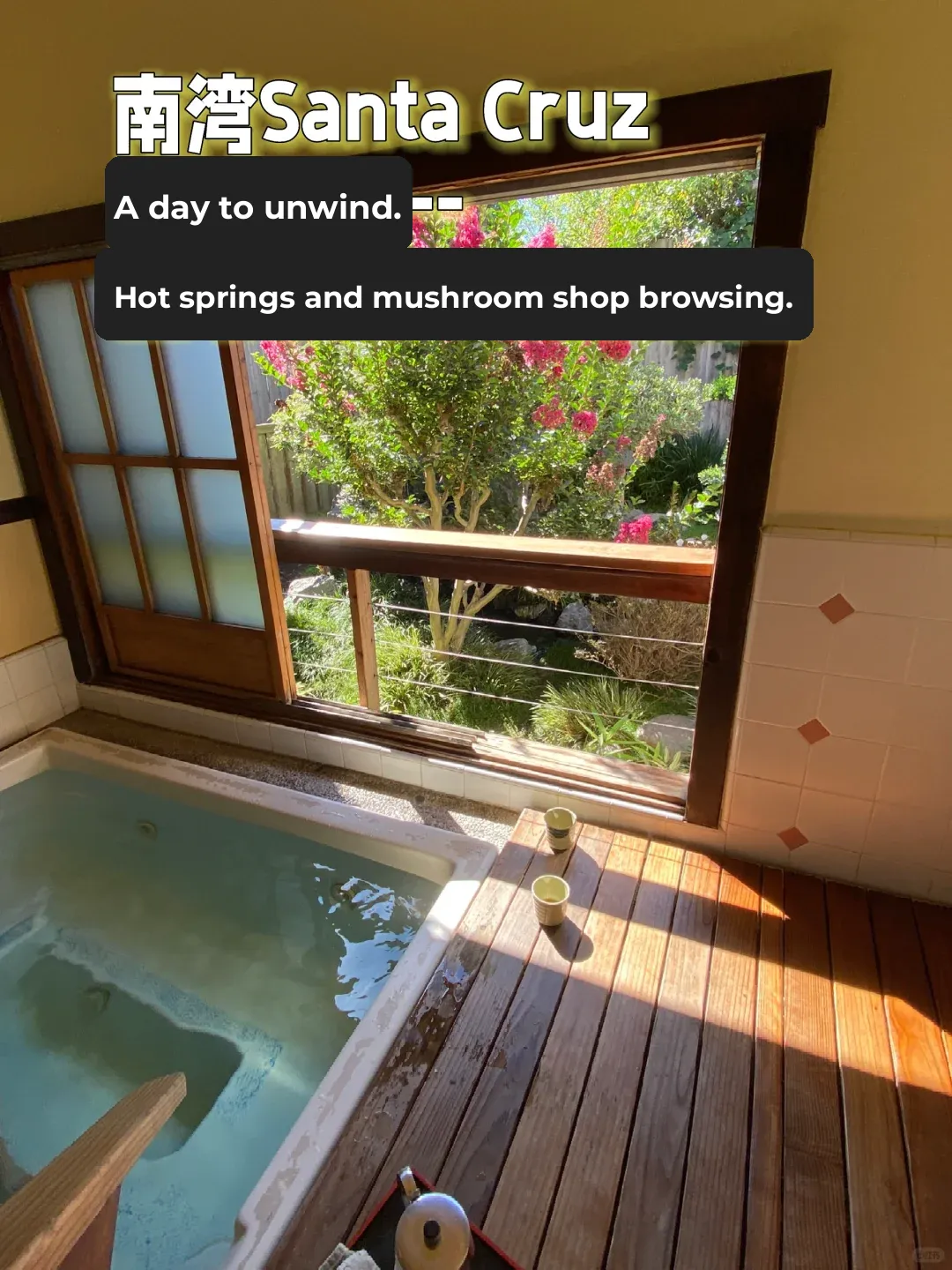A Relaxing Day in Santa Cruz: Soaking in Hot Springs and Exploring the Mushroom Shop