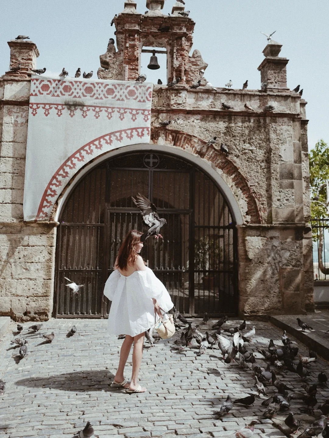 Puerto Rico 🕊️ Feeding Pigeons in Old San Juan ⛪️