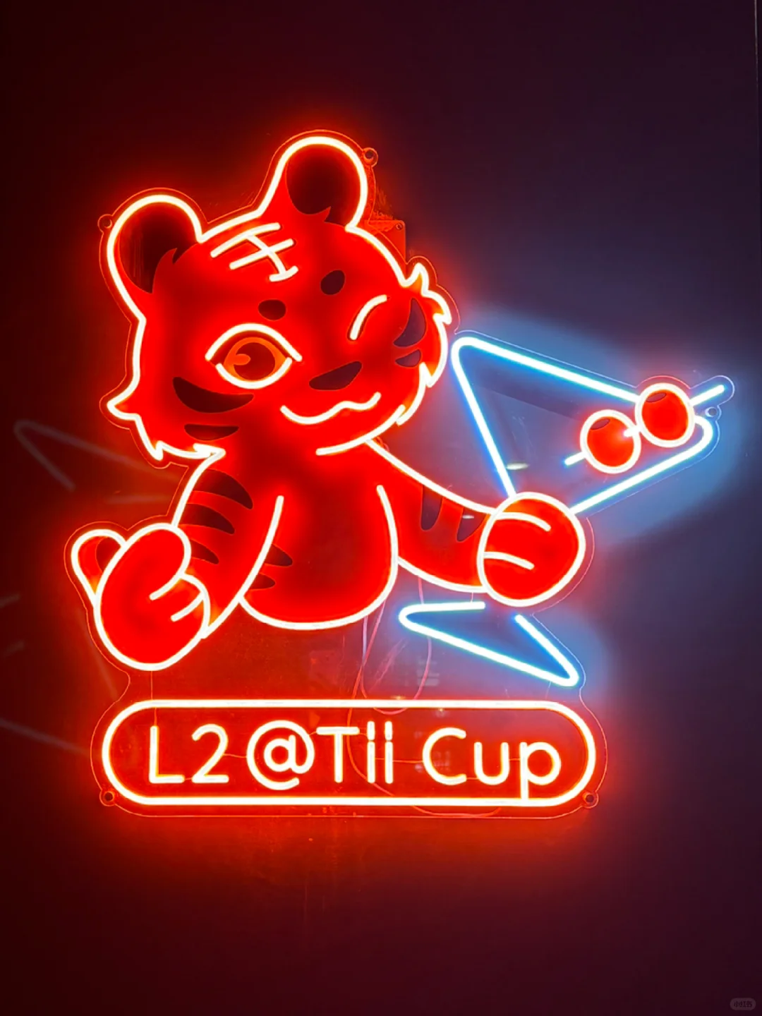 Minnesota Bubble Tea and Hidden Speakeasy | Tii Cup L2