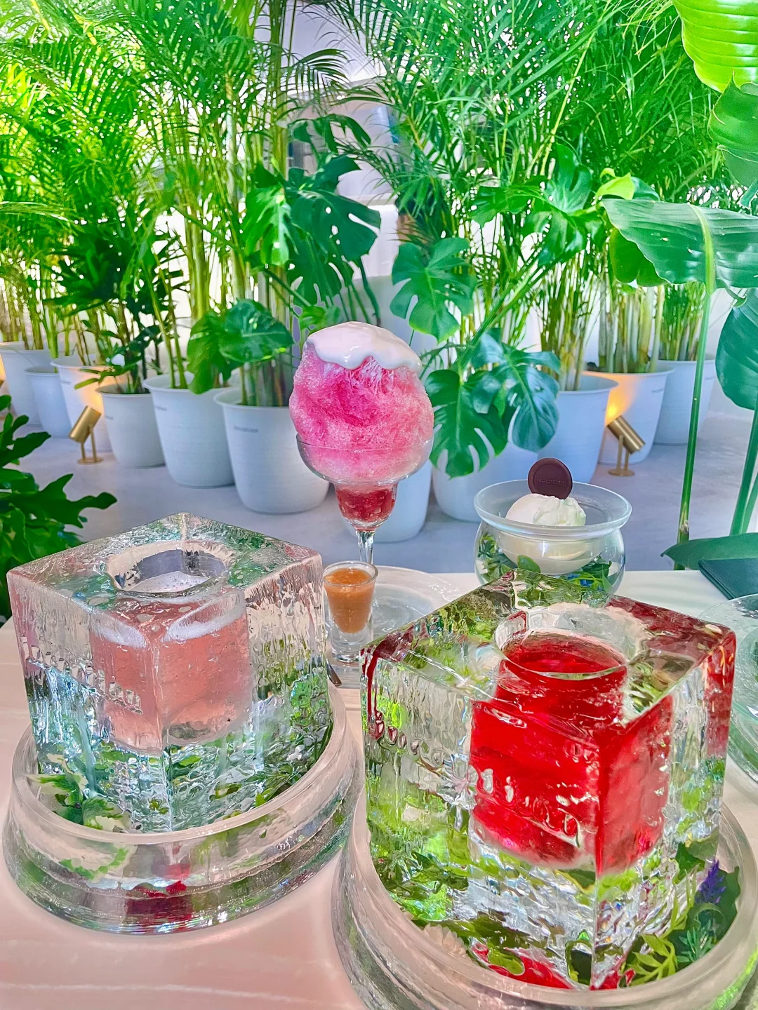 Japan 🇯🇵 Osaka · Once-in-a-Millennium Café ☕