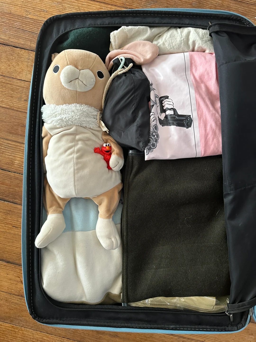 Spring Break Travel｜Heading to Washington, D.C. to See the Cherry Blossoms 🌸