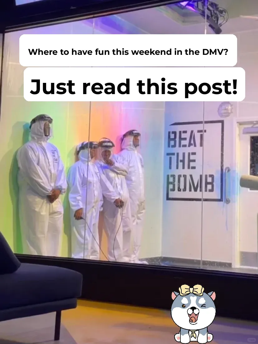 Where to Go for Fun in the DMV This Weekend? This Guide Has You Covered!