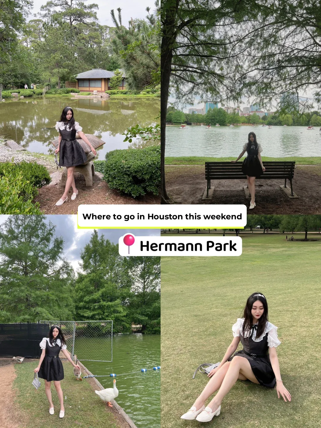 Houston | Counting Ducks by the Lake at the Park This Weekend 🦆