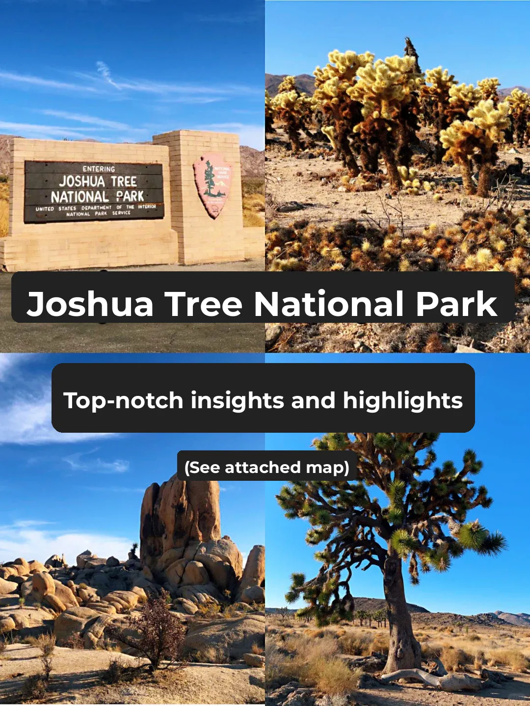 Hidden Gems in LA: Practical Guide to Joshua Tree National Park