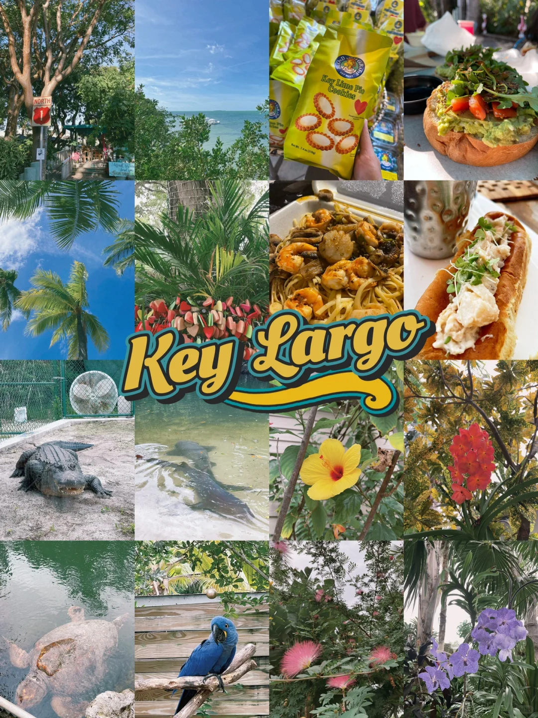 Miami Area Getaway ☀️ Key Largo 💙 48 Hours of Chill Vibes