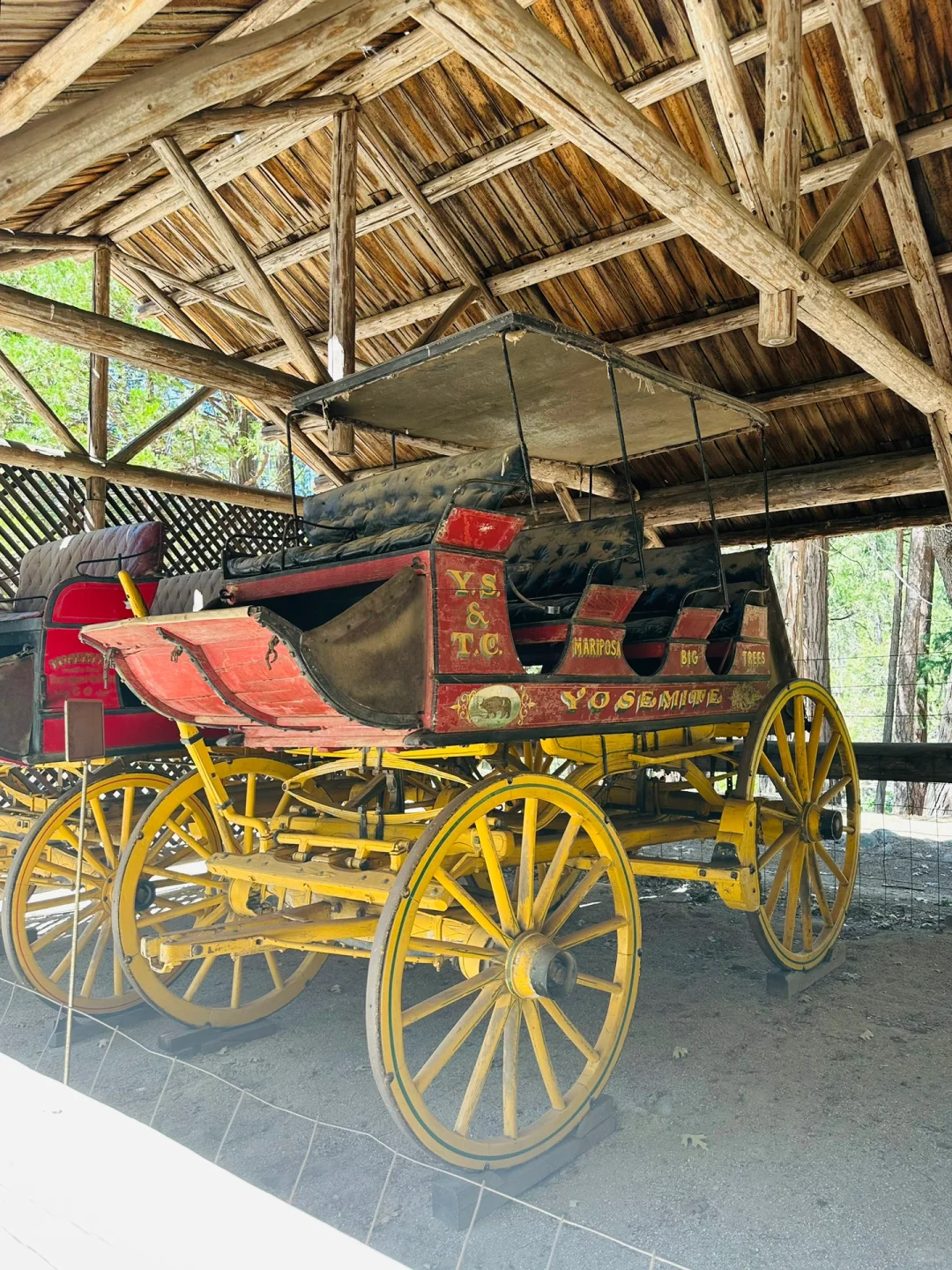 Yosemite National Park (Part 1): Must-Visit Spots in the Wawona Area