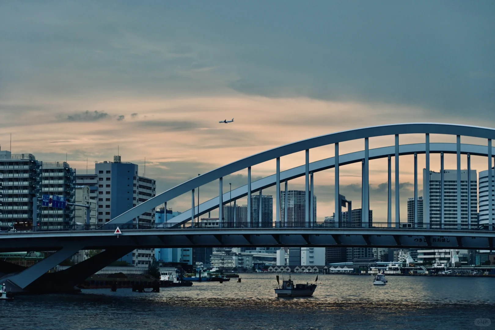 "Highly Recommend Taking Your Parents to Try This in Tokyo"