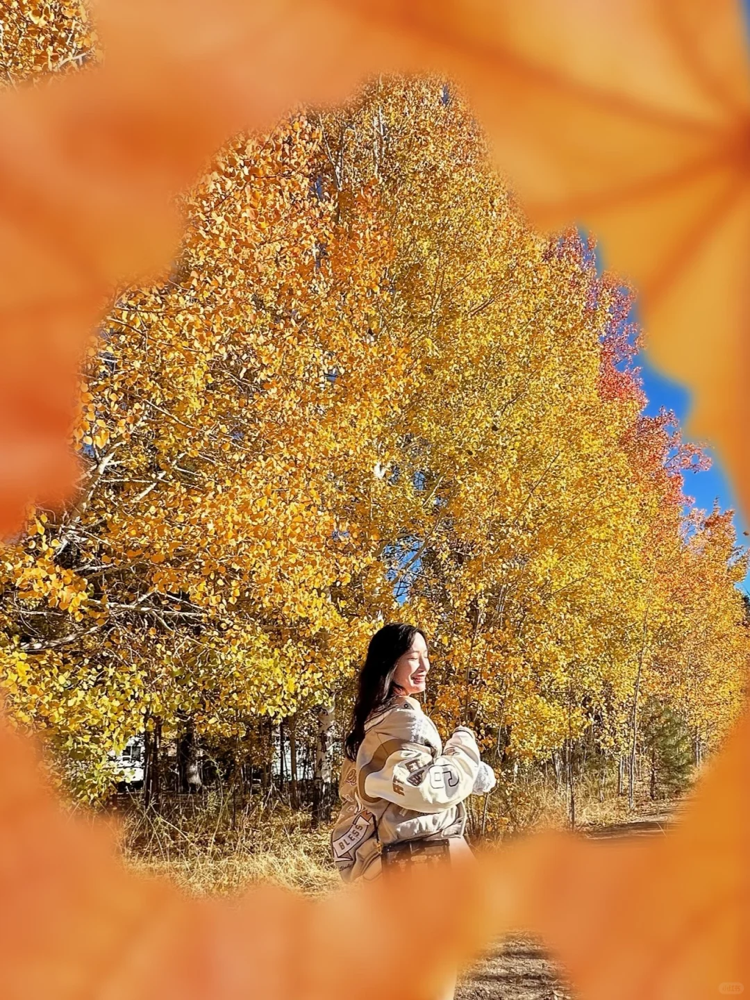 Day Trip Itinerary: Autumn Escape to Big Bear Lake