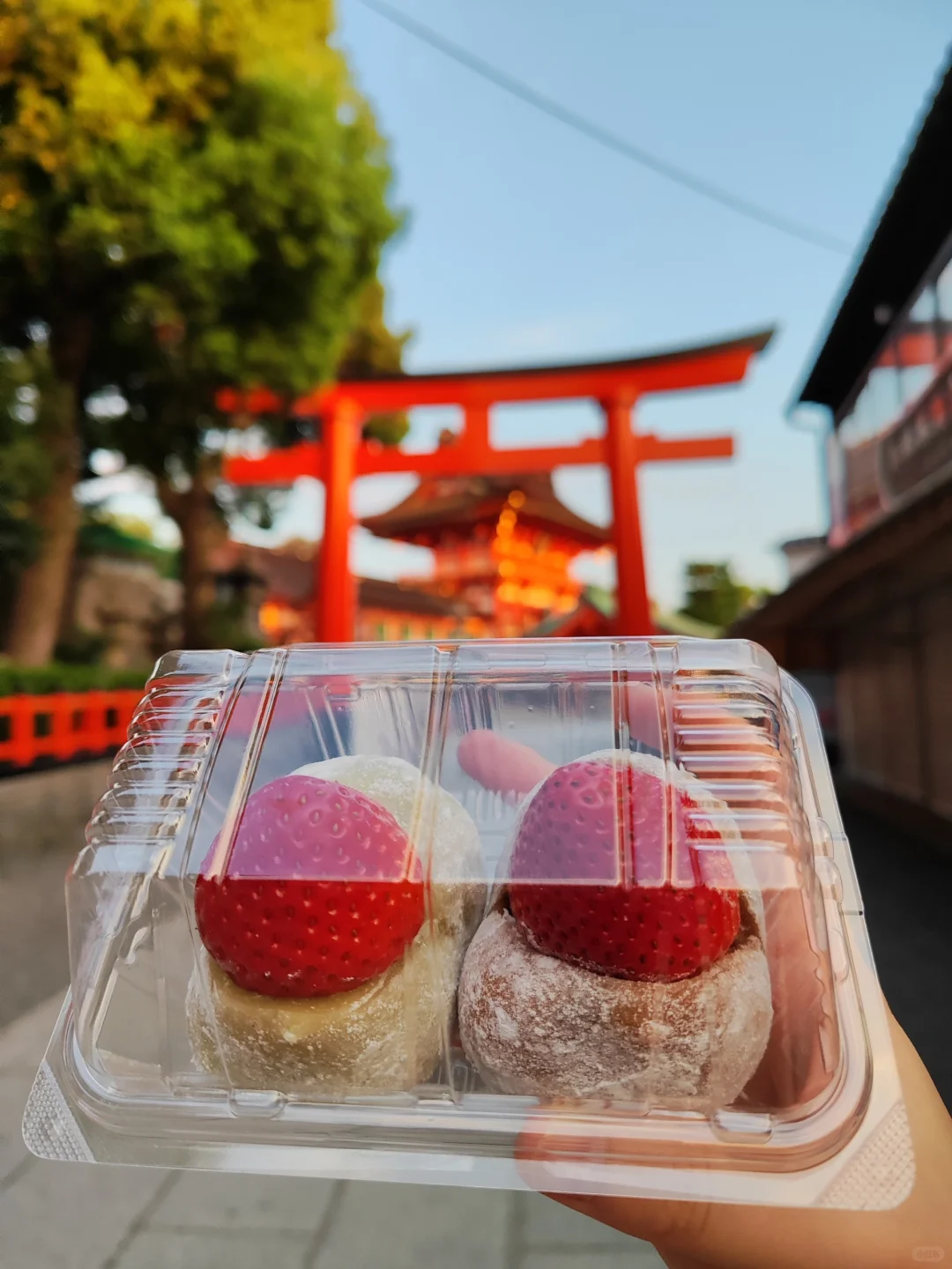 🇯🇵 Kyoto 5-Day Trip: 12 Must-Try Walk-In Eateries 😋