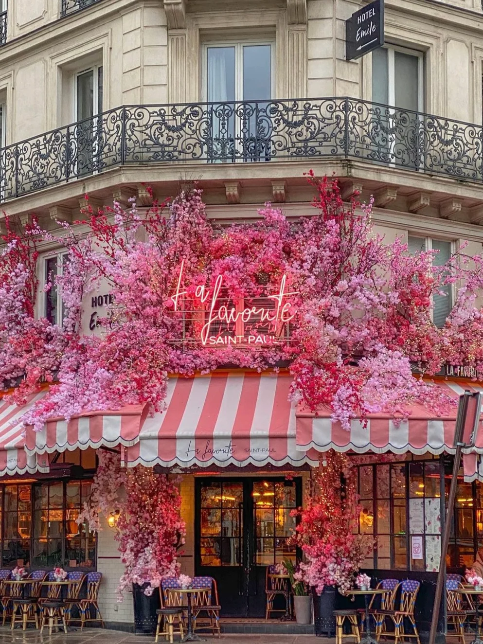Checking in at Paris's "Flower" Café 🌸 Elevating Life's Rituals ☕️