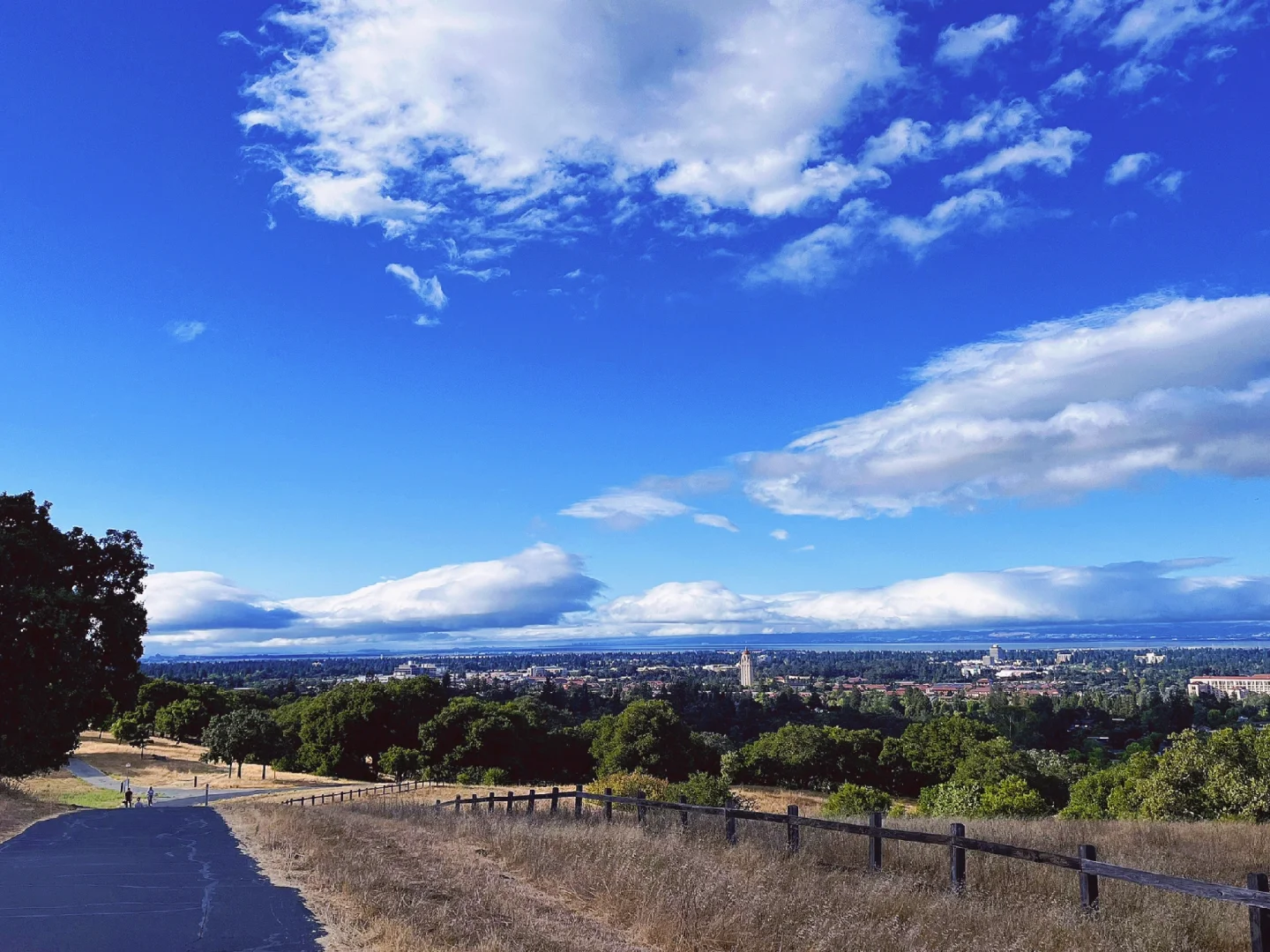 "Stanford Dish Overlook: A Must-Do Hike in the Bay Area"