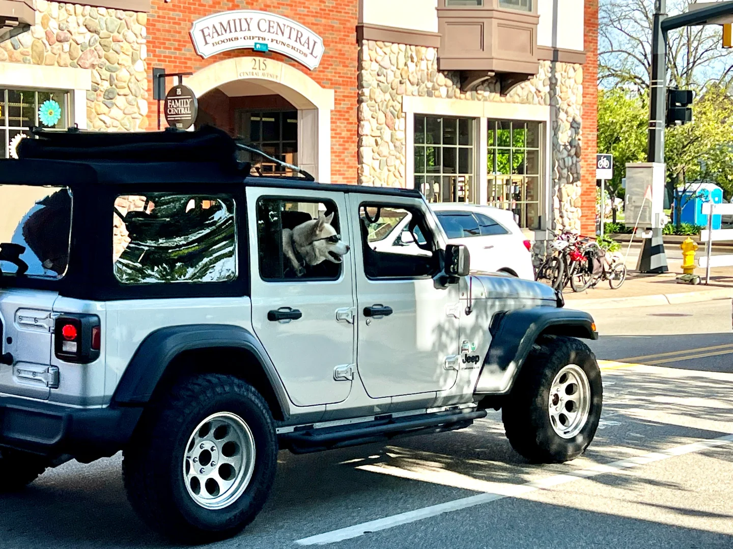 Two-Day Trip to Holland Town and Surrounding Areas in Michigan