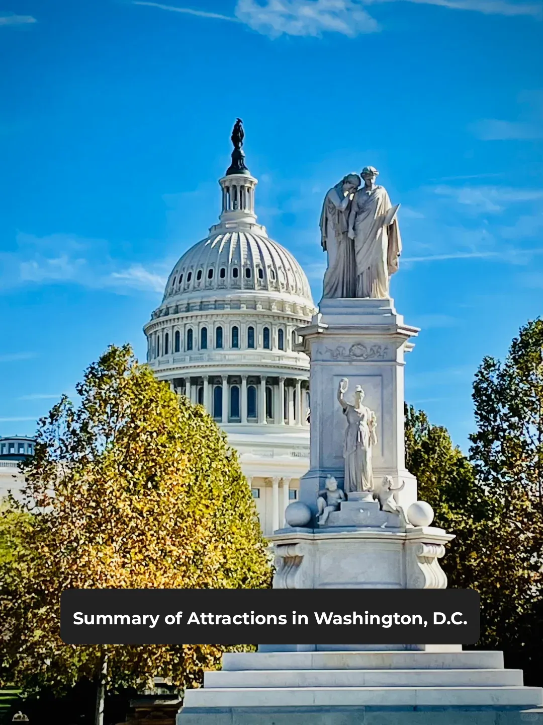These attractions in Washington, D.C. truly live up to their reputation 👀