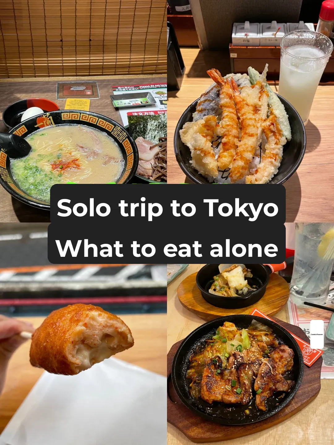 Solo Japan Trip: No-Wait Foodie Delights