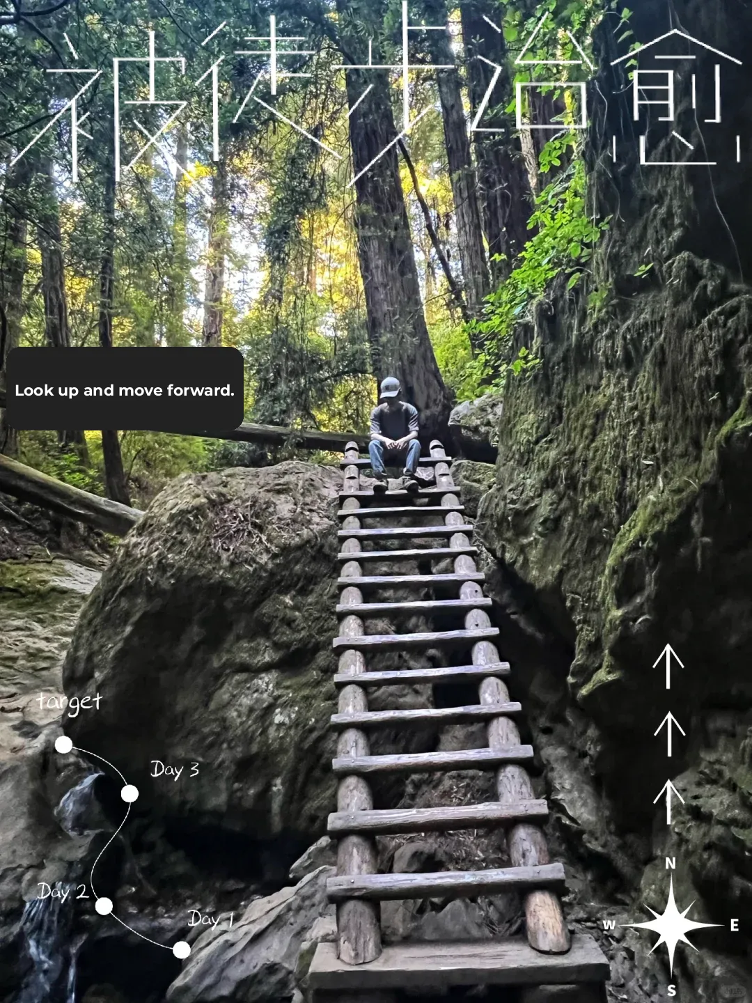 Hiking Adventure｜Mount Tamalpais State Park🌲