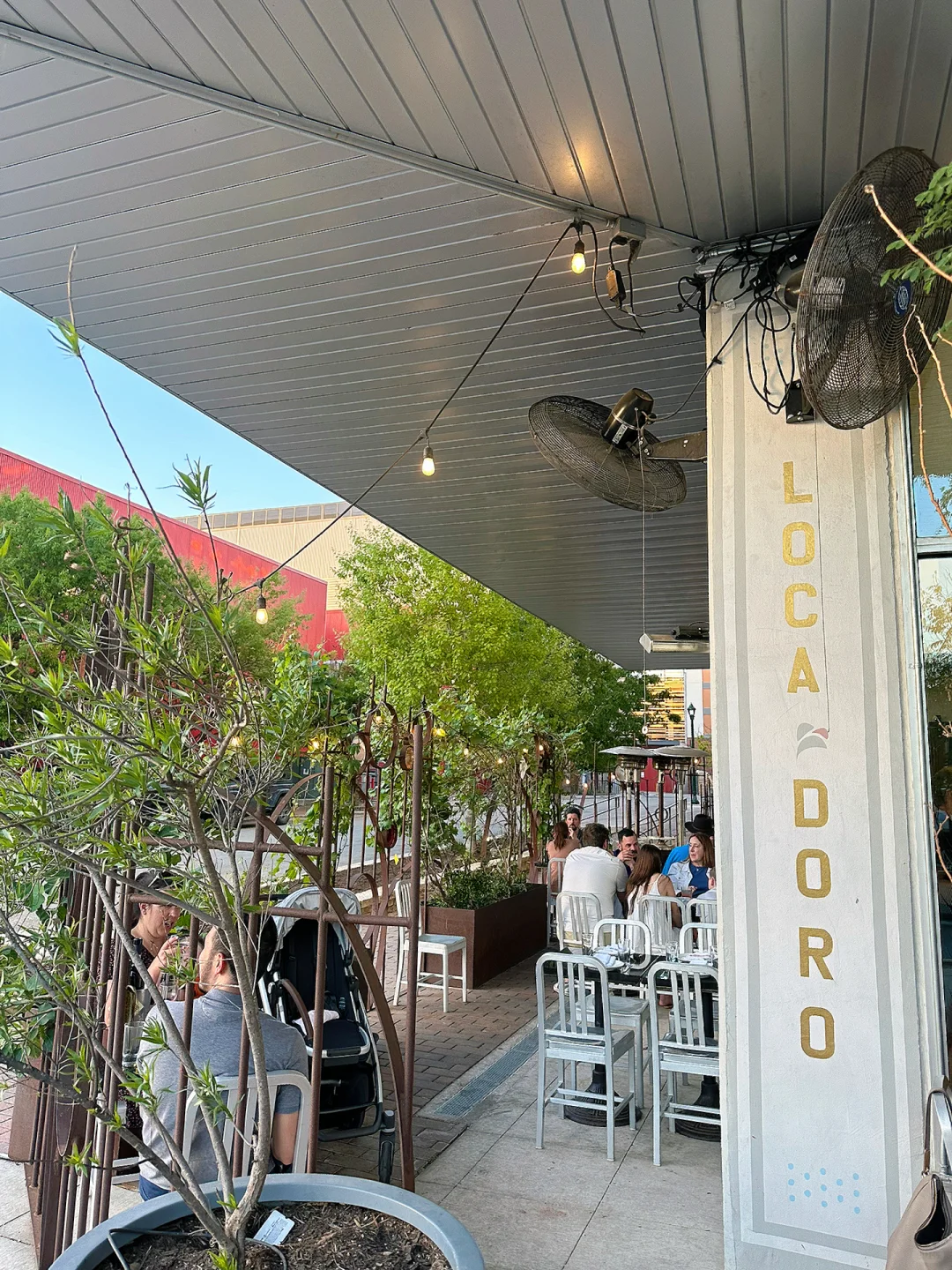 Austin's Hidden Gem Italian 🇮🇹 Restaurant - L’Oca d’Oro