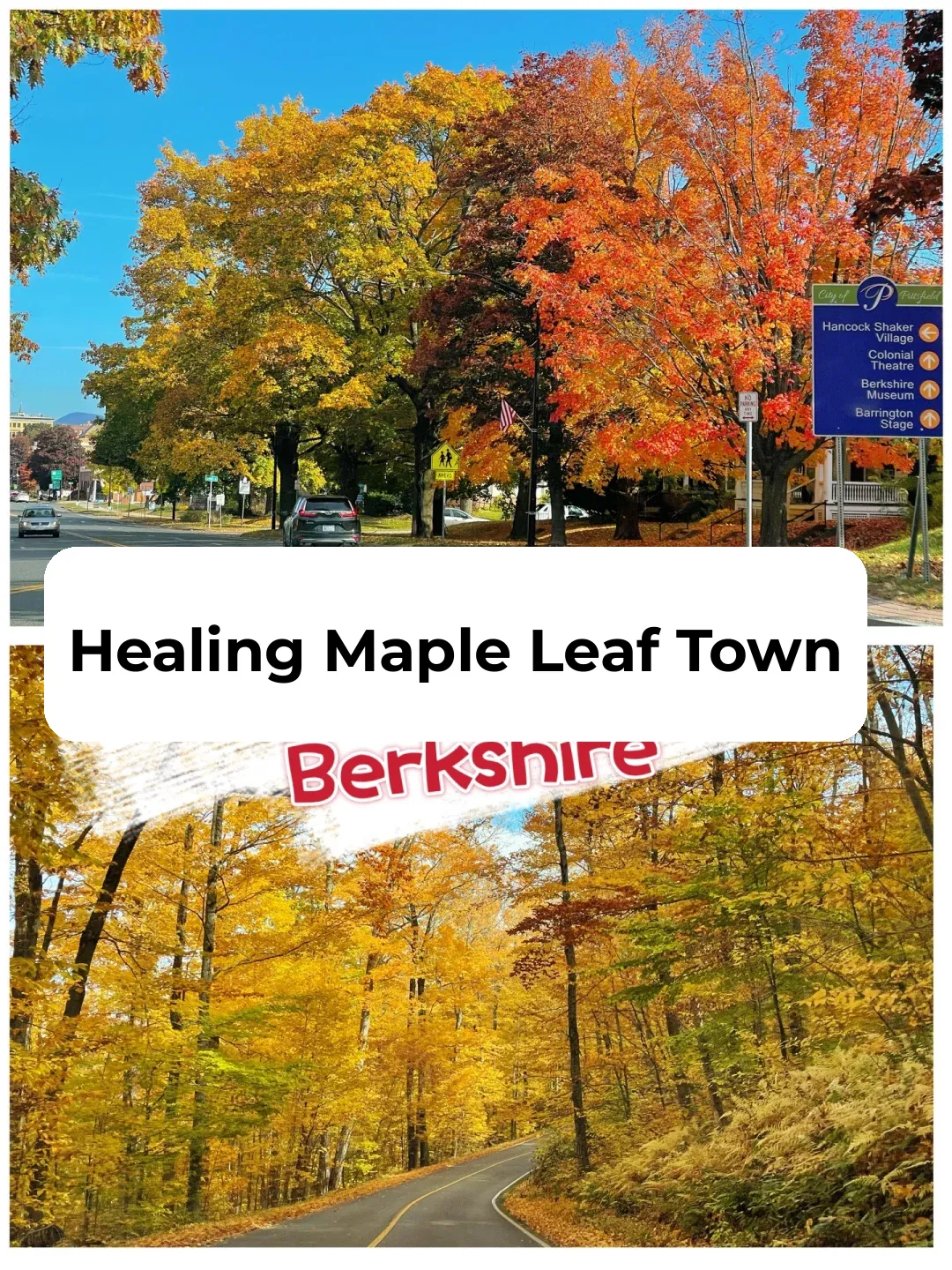 🧡 Autumn Foliage | Fairy Tale Version of Berkshire Town 🌹