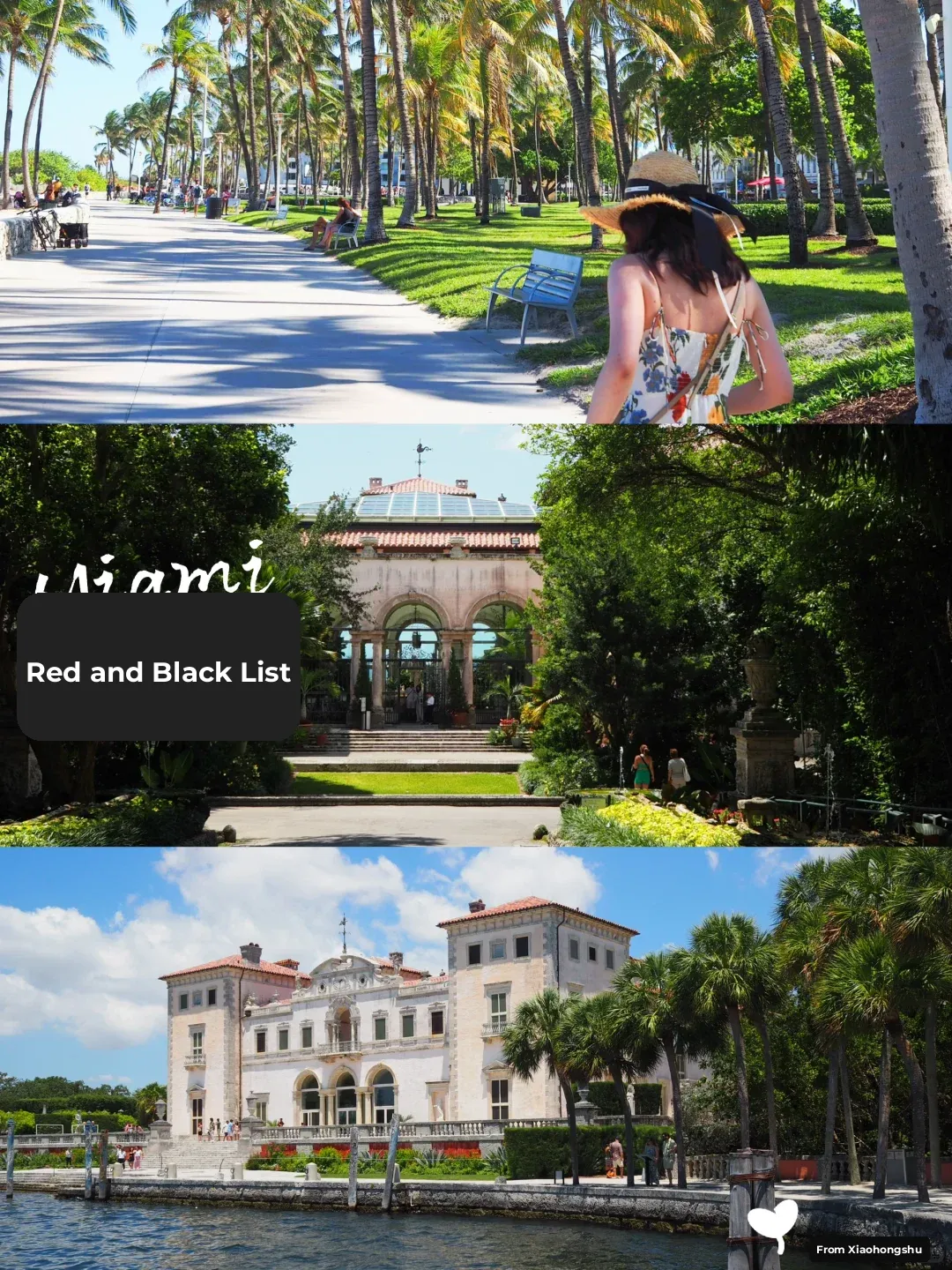 Never Visiting Miami Again in Late May🔥👋