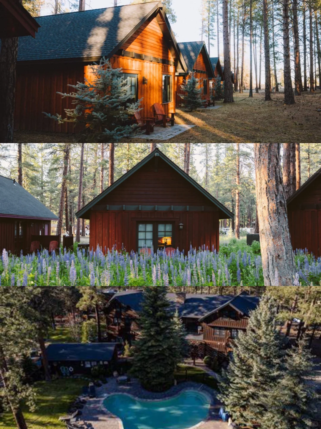 Top 15 Seattle Resorts Reviewed (Part 2) 🌊 Summer Getaway ⛅️