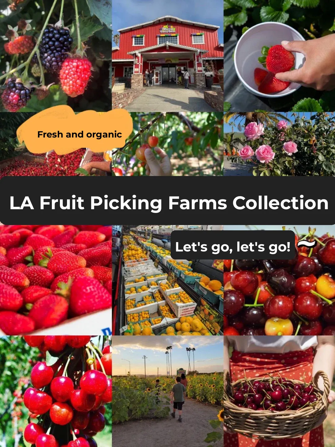 2024 🍒 LA Cherry Picking Season: Top Picks for Popular Farms! Save the Dates!