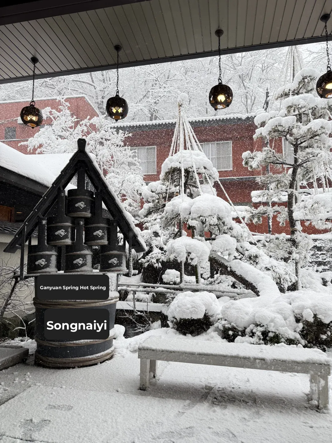 "Almost Missed the Train Back to Tokyo After Soaking in Gunma's Hot Springs 👀"