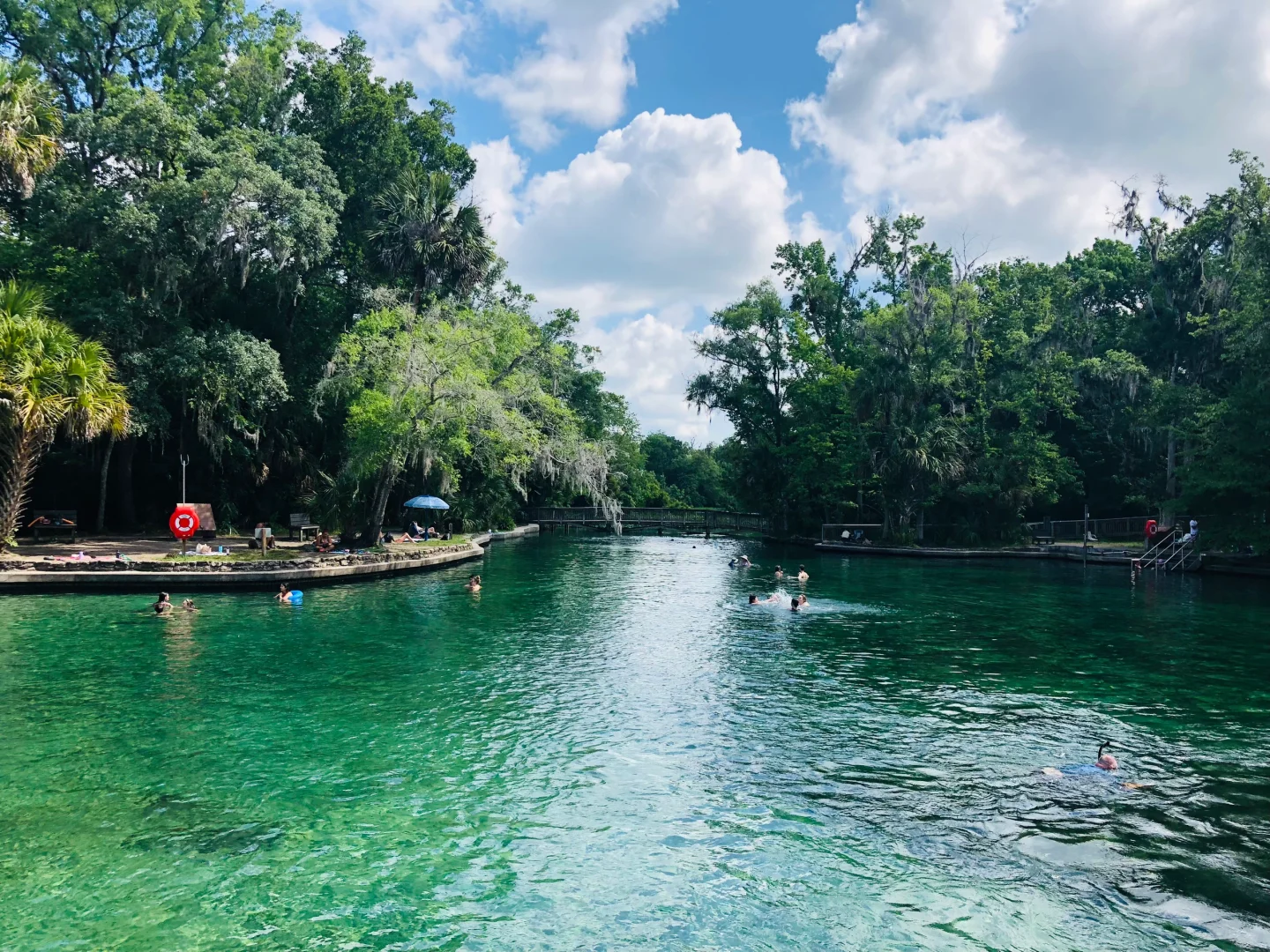 Hidden Gem in Orlando: Wekiwa Springs