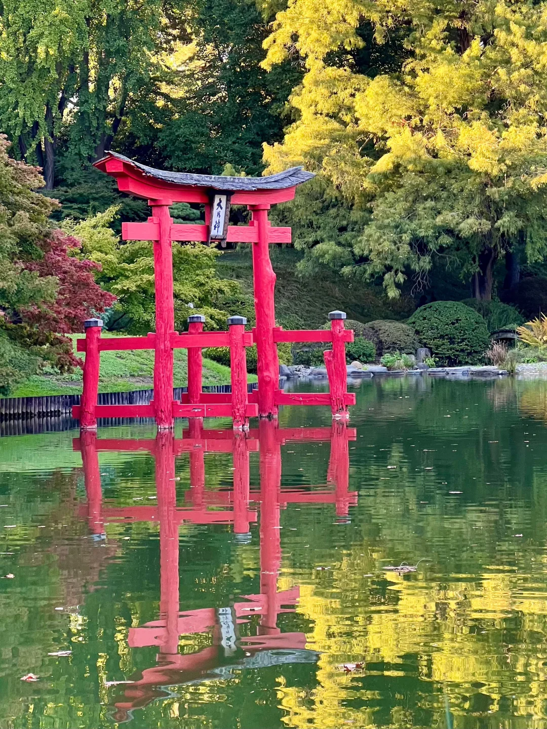 New York Parks Have Reached the Next Level‼️ Seriously, It's Not Japan⛩️