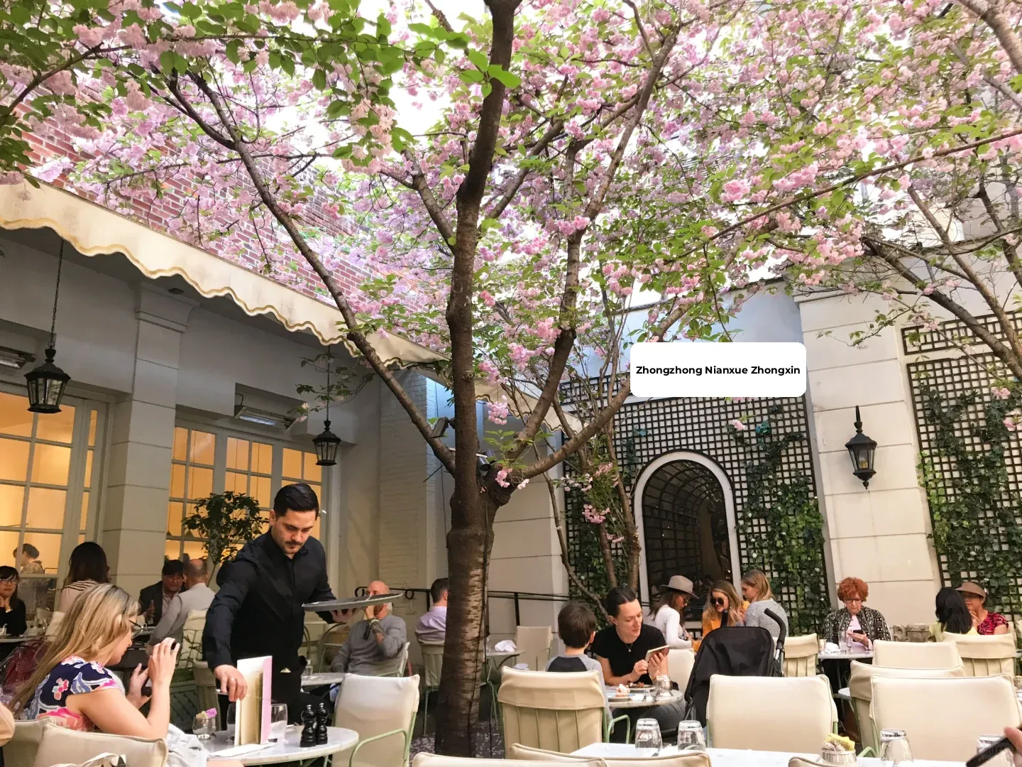 Everyday Gratitude for the Joy of Living in New York