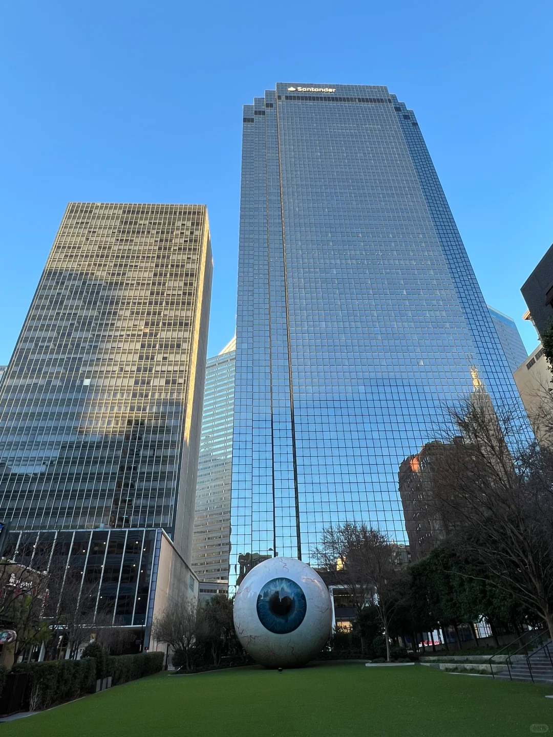 Dallas, Texas Travel Guide & A Week of Working From Home Experience