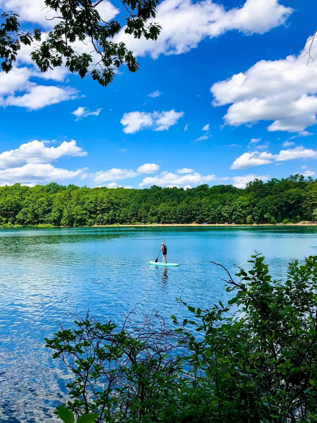 Boston Area | Six Must-Visit Hidden Gems 🍃