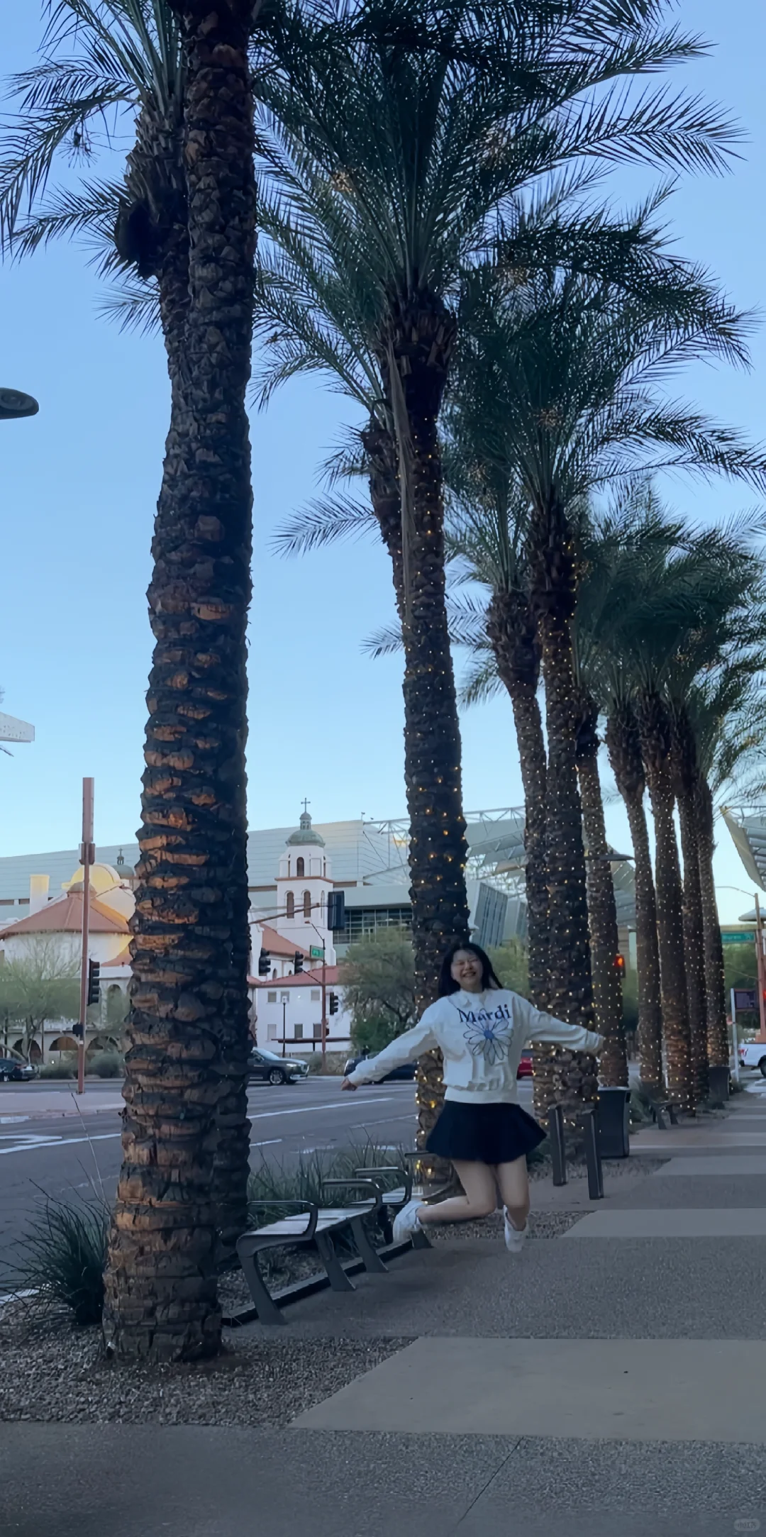 The Meaning Behind the Phoenix🌴Life Pictures!