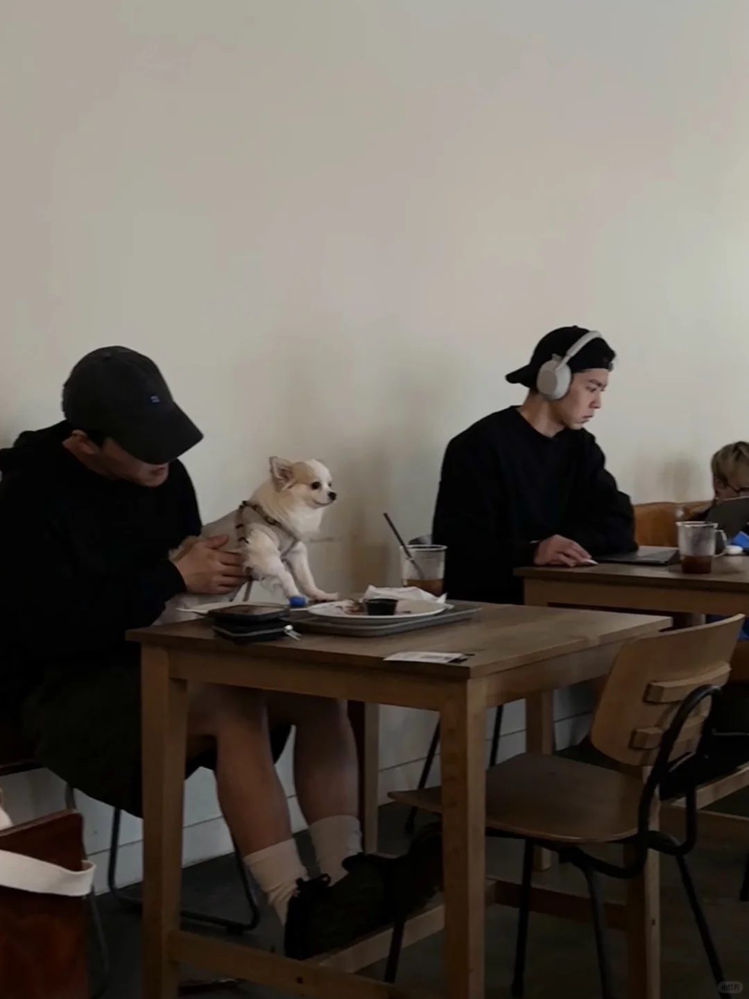 Save a Day for Yoyogi Park in Tokyo