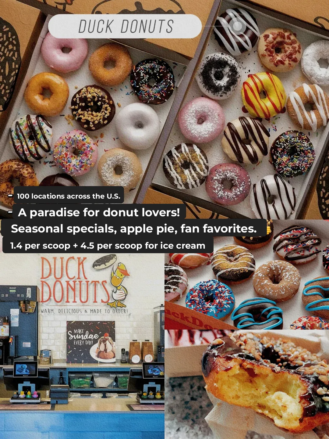 North Carolina Dessert Shop Special! A Dopamine-Fueled Delight!