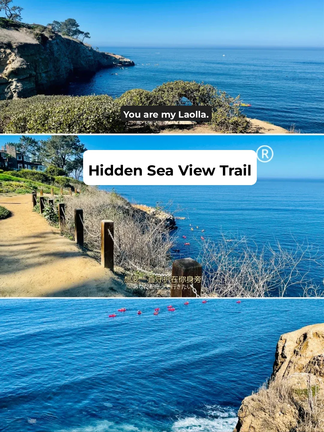 San Diego with Kids | Hidden Oceanview Trail in La Jolla