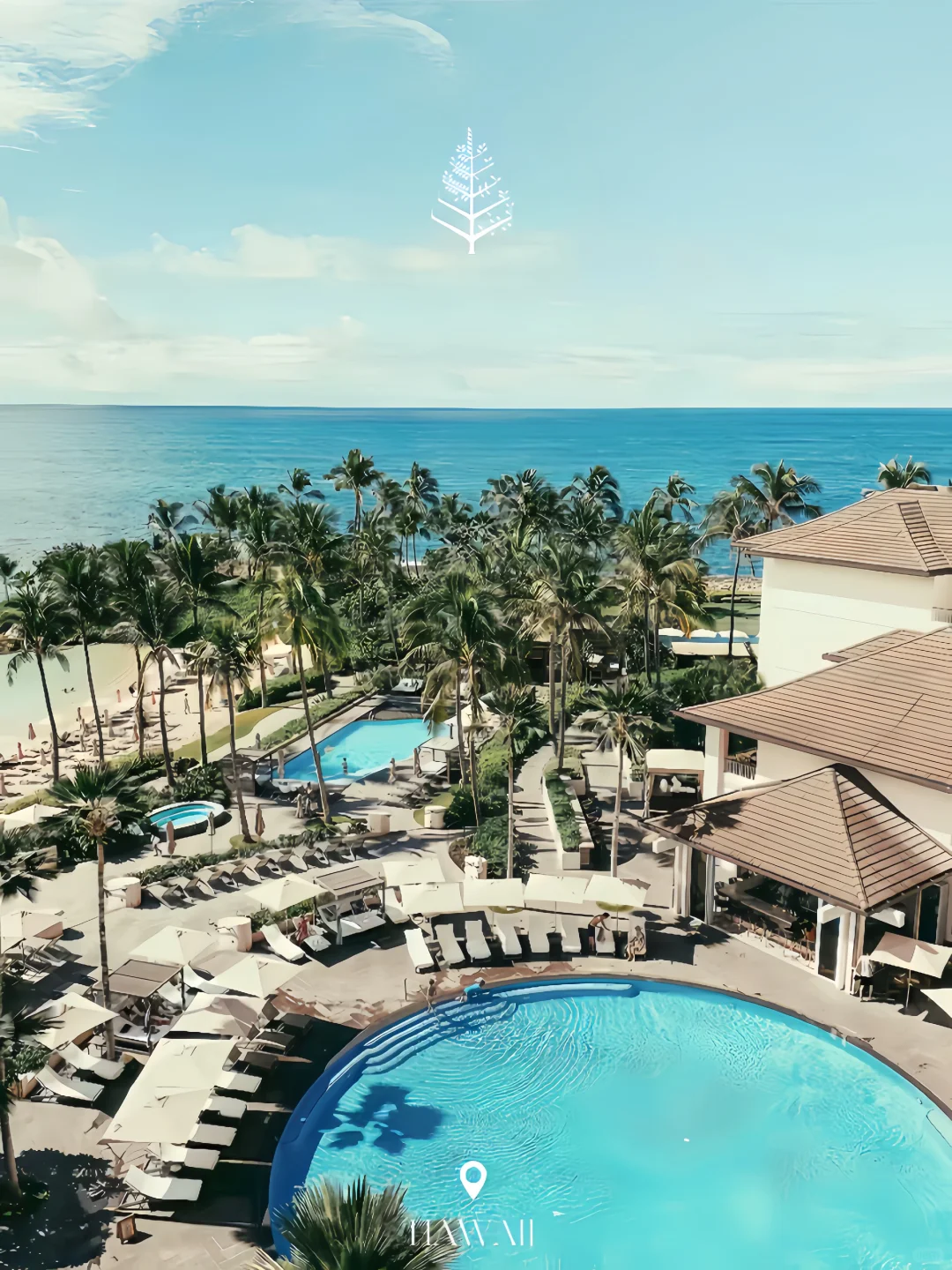 Just Back from Hawaii | Save Big on Hotels 🏨 with This Guide!