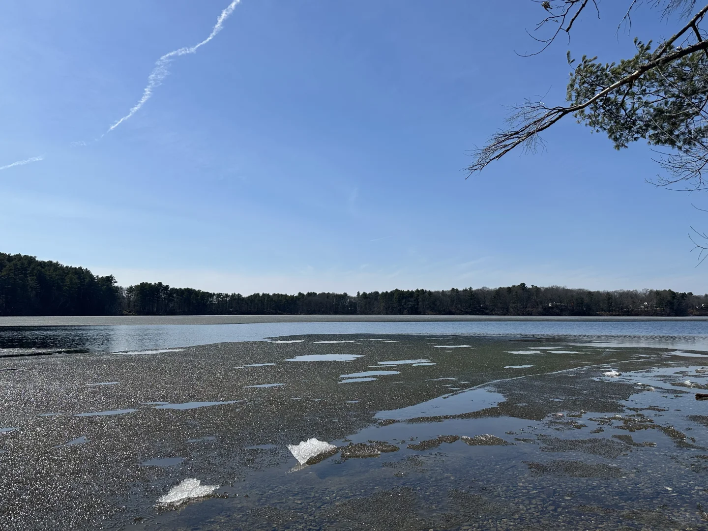 Boston's First Warm Weekend of 2025