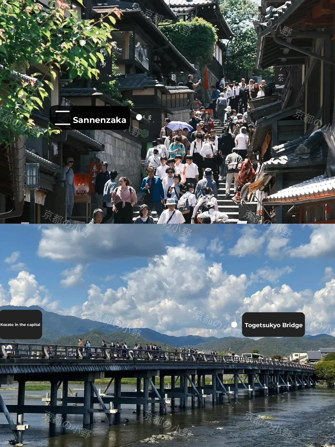 ⛩️ Guide｜Been to Kyoto 6 Times✈️ Must-Share Insights....