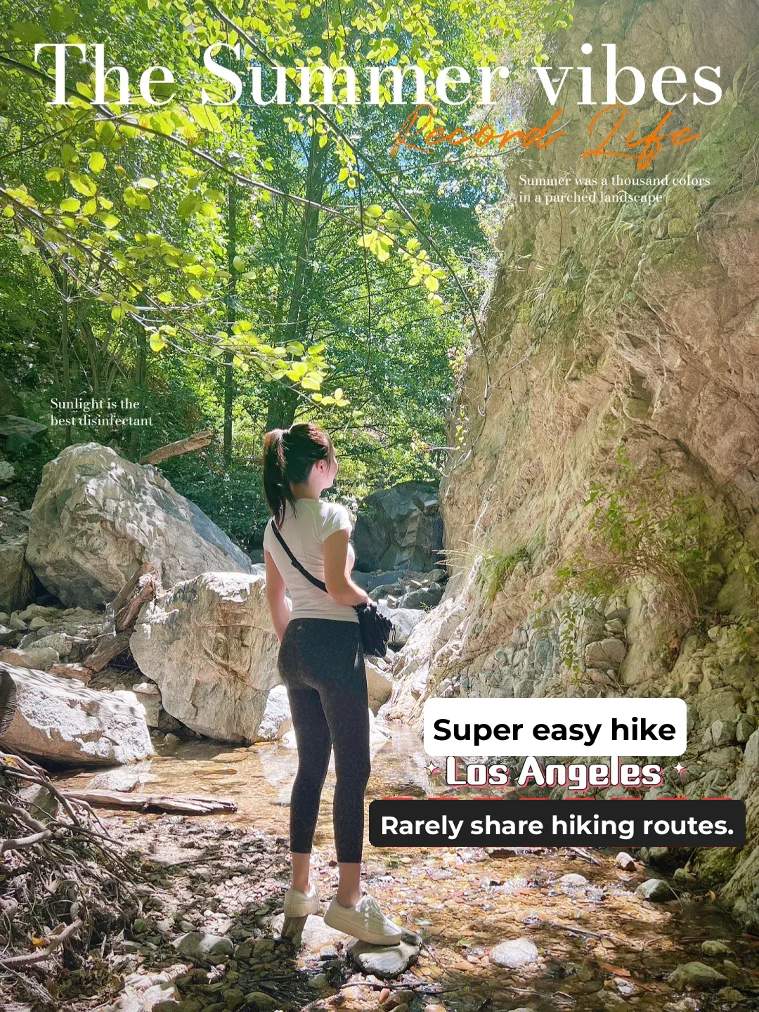 Weekend Hike｜Shade-Friendly Trails in Los Angeles