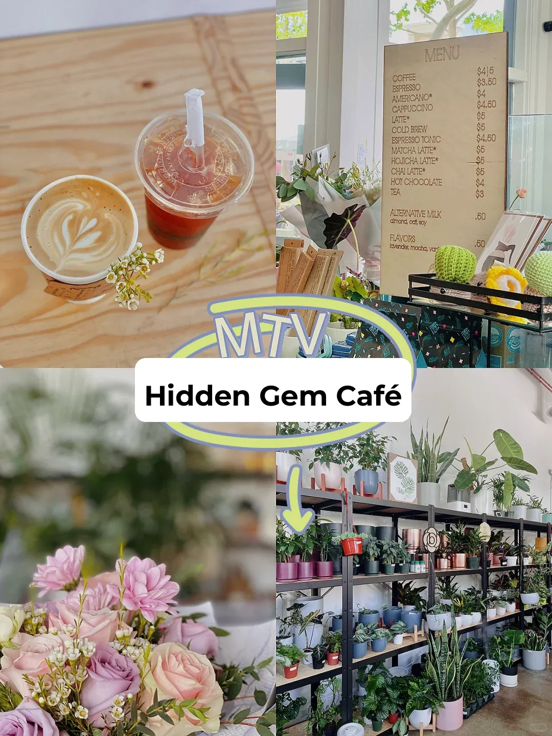 Hidden Gem: Mountain View's Green Oasis Café