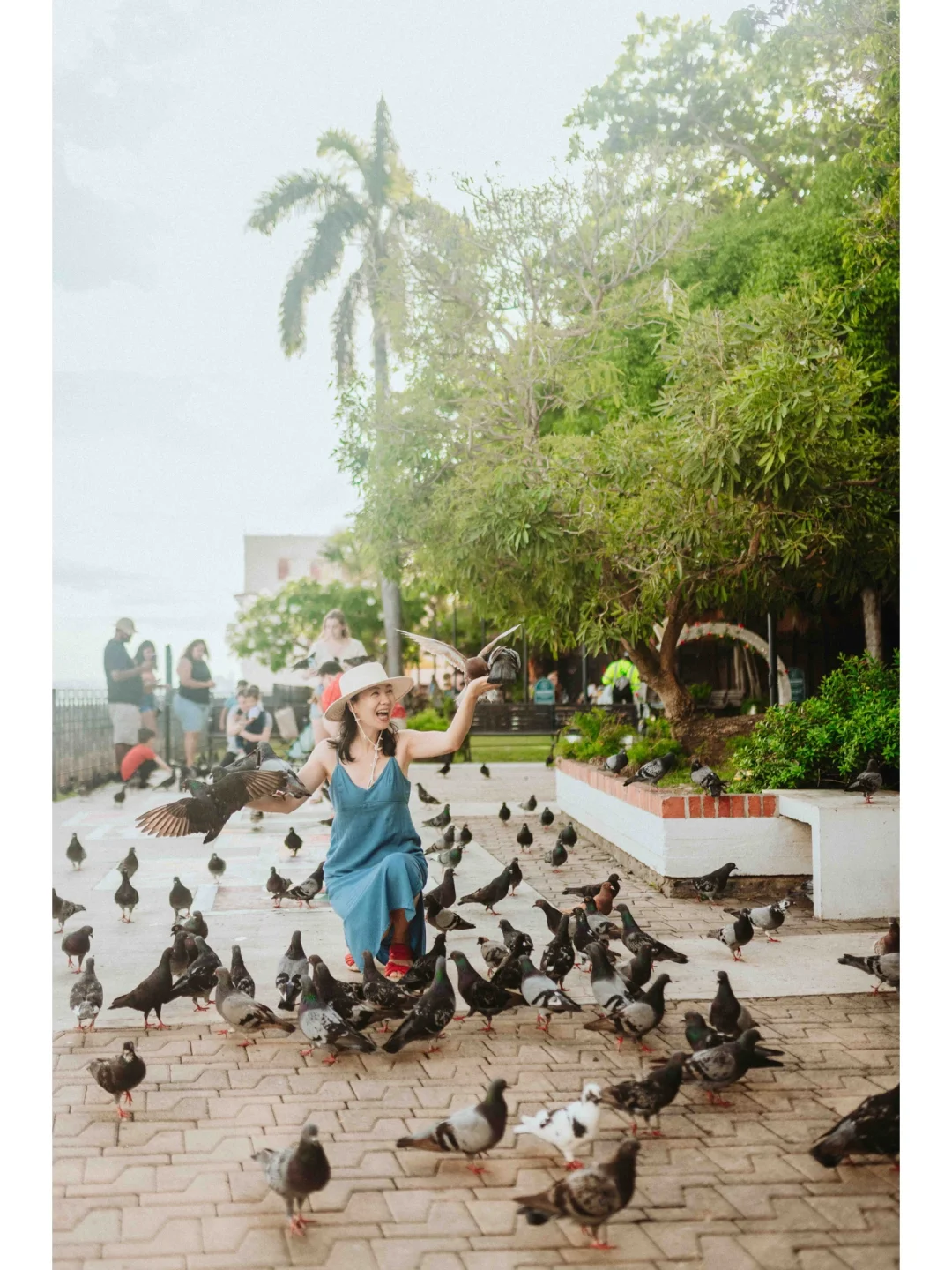 ✈ Old San Juan, Puerto Rico + El Yunque Rainforest + Beaches + Culebra Island