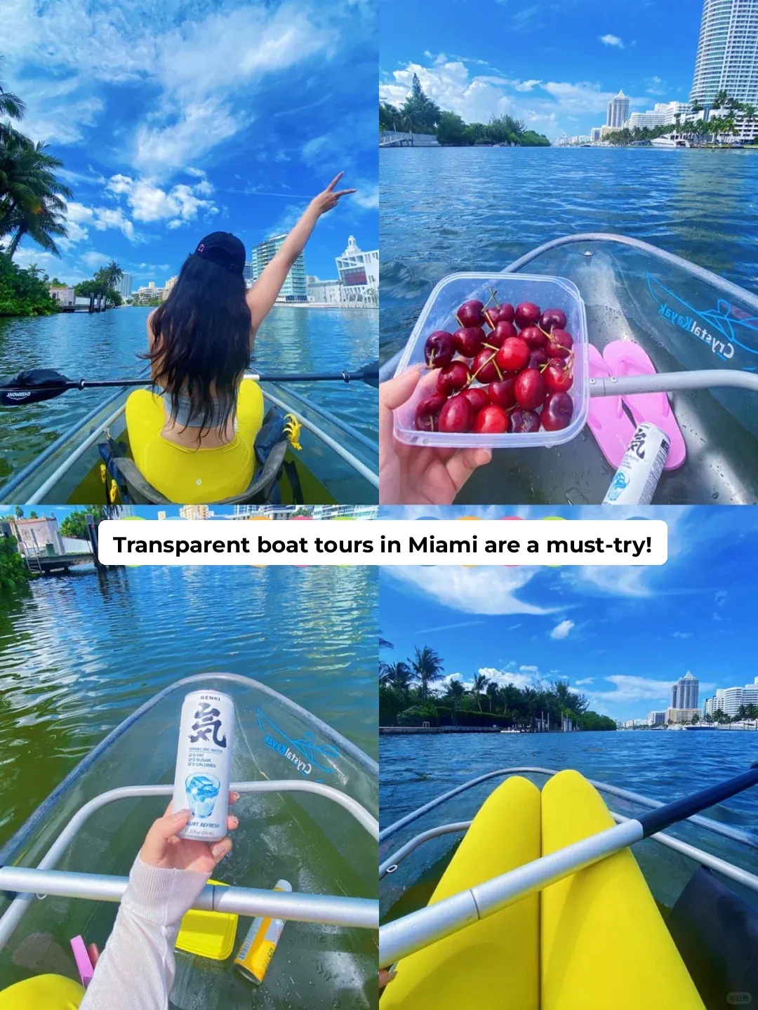 Miami's Coolest Activity: The Glass Bottom Boat 🧩